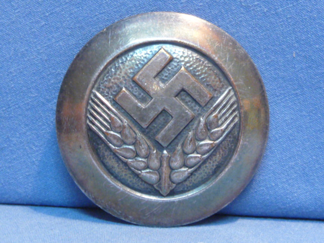 Original Nazi Era German RADwJ Member's Rank Broach