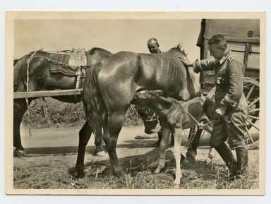 Original WWII German Our Waffen-SS Series Photo Postcard, Also a War Child