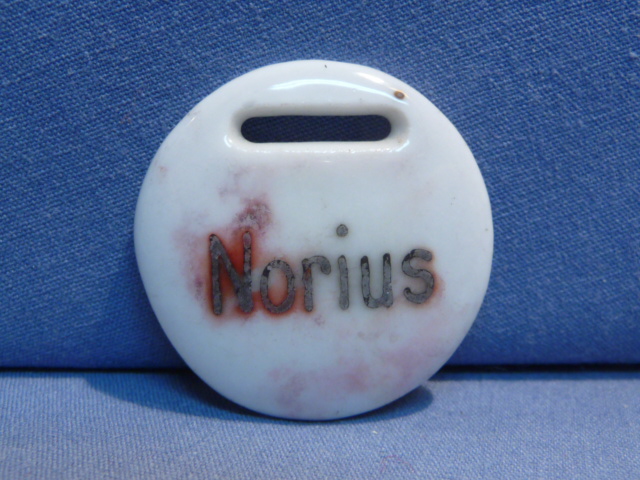 Original Nazi Era German Porcelain Badge, Norius