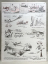 Original WWII German Luftwaffe Magazine Der Adler, May 1943