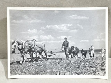 Original WWII German Our Waffen-SS Series Photo Postcard, With Peaceful Work