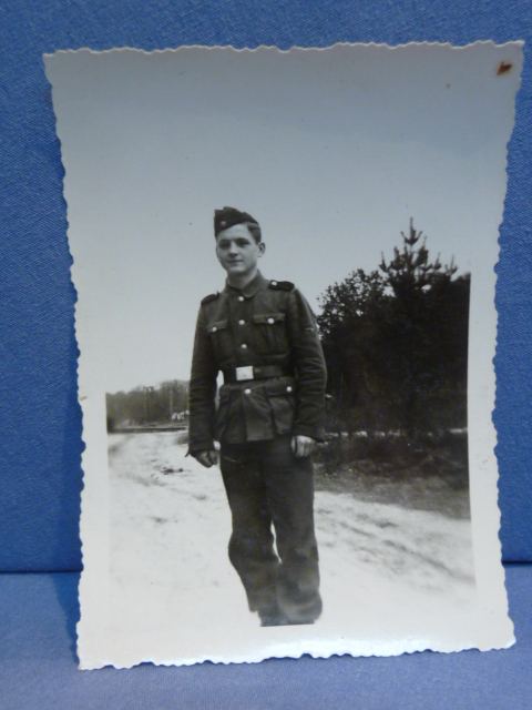 Original WWII German Waffen-SS Soldier's Photograph