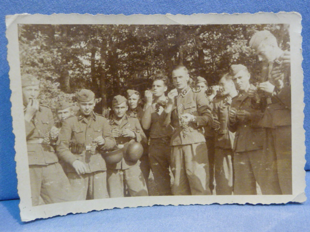 Original WWII German Group of Waffen-SS Soldiers Photograph