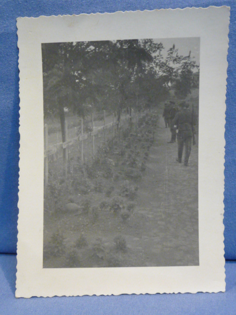 Original WWII German Waffen-SS Soldiers in Military Cemetery Photograph