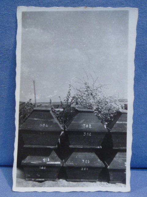 Original WWII German Photograph of Soldier's Unburied Caskets