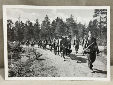 Original WWII German SS-Gebirgsdivision "Nord" in Karelien Postcard, Pack Animal Convoy