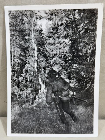 Original WWII German SS-Gebirgsdivision "Nord" in Karelien Postcard, Attack in the Forest